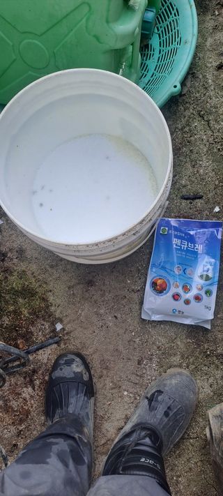 능금아저씨님의 사과 · 영농일지 작성글 사진