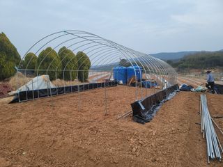 이용찬 열매마농원님의 기타작물 · 영농일지 작성글 사진