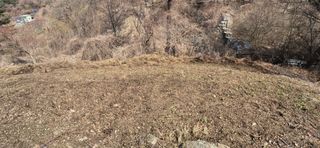 장봉덕님의 기타작물 · 영농일지 작성글 사진