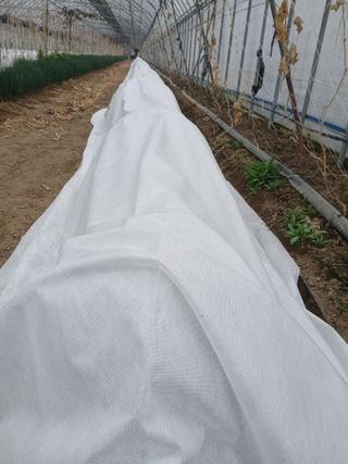 879412님의 기타작물 · 영농일지 작성글 사진