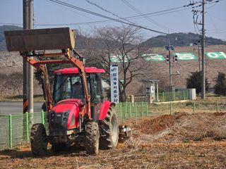 심기정님의 고구마 · 영농일지 작성글 사진