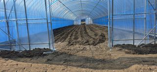 강연수님의 고추 · 영농일지 작성글 사진