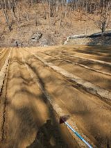 팜모닝 기타작물·영농일지 게시글 이미지