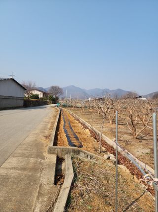 대운농원님의 기타작물 · 영농일지 작성글 사진