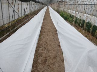 879412님의 기타작물 · 영농일지 작성글 사진