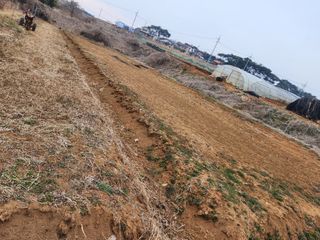 벙개도리님의 기타작물 · 영농일지 작성글 사진