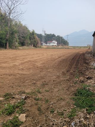 김진기님의 기타작물 · 영농일지 작성글 사진