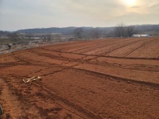 신승철님의 기타작물 · 영농일지 작성글 사진