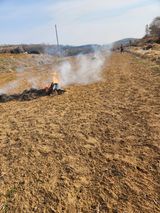 팜모닝 기타작물·영농일지 게시글 이미지