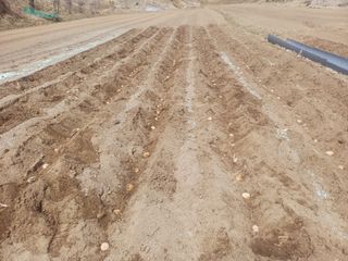 인산님의 파 · 영농일지 작성글 사진