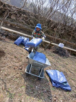 향양농장 사랑합니다님의 감 · 영농일지 작성글 사진