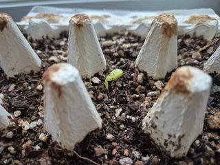 김기탁님의 기타작물 · 영농일지 작성글 사진