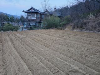 김석기님의 기타작물 · 영농일지 작성글 사진