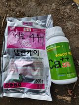 팜모닝 마늘·영농일지 게시글 이미지