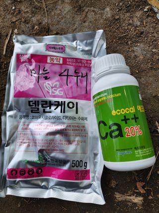 강동신님의 마늘 · 영농일지 작성글 사진