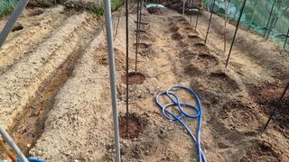 권혁렬님의 상추 · 영농일지 작성글 사진