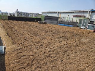 박병철님의 고추 · 영농일지 작성글 사진