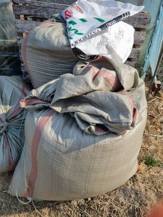 최기동님의 호박 · 영농일지 작성글 사진