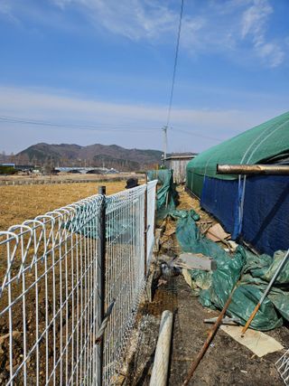 유제상님의 기타작물 · 영농일지 작성글 사진