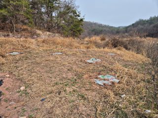 하야비치님의 버섯 · 영농일지 작성글 사진