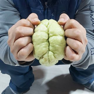 가로수님의 기타작물 · 영농일지 작성글 사진