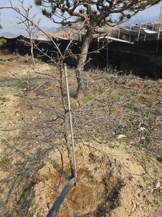 상추22033님의 기타작물 · 영농일지 작성글 사진