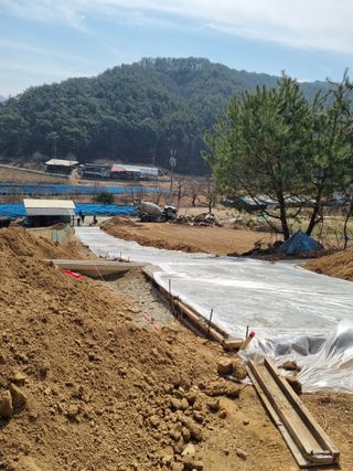 심기섭님의 기타작물 · 영농일지 작성글 사진