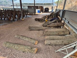 하야비치님의 버섯 · 영농일지 작성글 사진