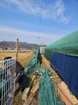 유제상님의 기타작물 · 영농일지 작성글 사진