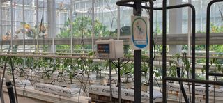 강연수님의 기타작물 · 영농일지 작성글 사진