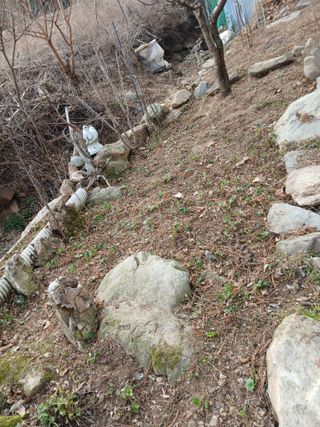 인생은 소풍처럼~님의 기타작물 · 영농일지 작성글 사진