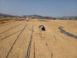 장은주님의 옥수수 · 영농일지 작성글 사진
