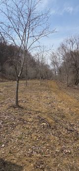 팜모닝 기타작물·영농일지 게시글 이미지