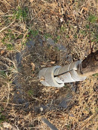 김재현님의 복숭아 · 영농일지 작성글 사진