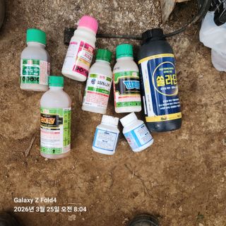 김성훈님의 기타작물 · 영농일지 작성글 사진