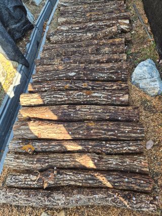 남기탁 님의 기타작물 · 영농일지 작성글 사진