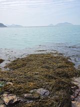 팜모닝 기타작물·영농일지 게시글 이미지