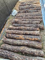 팜모닝 기타작물·영농일지 게시글 이미지