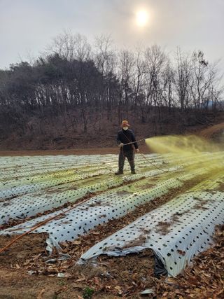 이름유순옥님의 기타작물 · 영농일지 작성글 사진