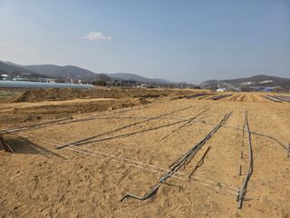 장은주님의 옥수수 · 영농일지 작성글 사진