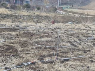 자연 愛 대풍농장님의 사과 · 영농일지 작성글 사진