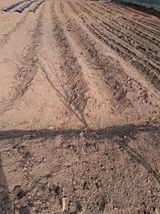 최한기님의 작성글 사진