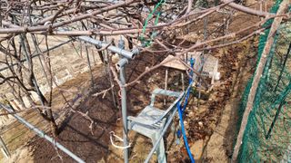 권혁렬님의 상추 · 영농일지 작성글 사진