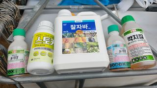 kkk님의 기타작물 · 영농일지 작성글 사진