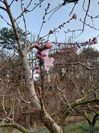 심무재 님의 작성글 사진