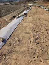 팜모닝 기타작물·영농일지 게시글 이미지