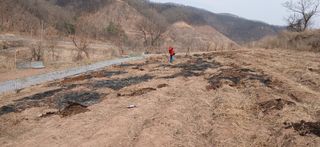 정연섭님의 기타작물 · 영농일지 작성글 사진