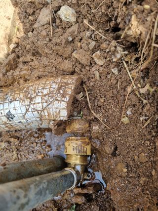 심기섭님의 기타작물 · 영농일지 작성글 사진