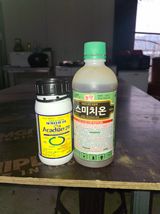 팜모닝 포도·영농일지 게시글 이미지