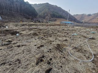 자연 愛 대풍농장님의 사과 · 영농일지 작성글 사진